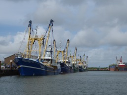 Texel-Oudeschild-Hafen-1