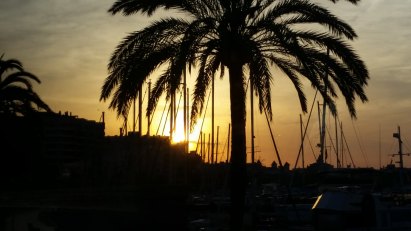 Mallorca-Palma-Hafen-Sonnenaufgang-5