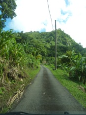 Grenada-Landesinnere-4