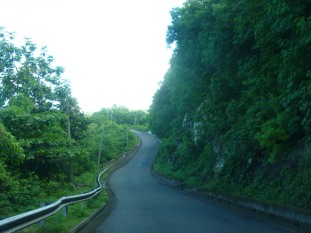 Grenada-Landesinnere-Strasse-2