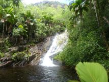 Mahé - Wasserfall an der Sans Soucis Road
