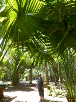 Mauritius-Pamplemousse_Garden-4