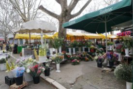 Split-Markt-Blumen-1