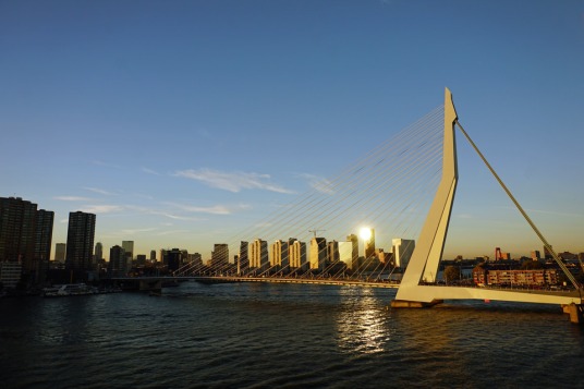 Rotterdam-Skyline-Erasmusbruecke-am_Abend-1